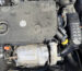 DW5RC 1.5 BlueHDi: проблемы DPF, турбина и экология - диагностика и мойка в Минске